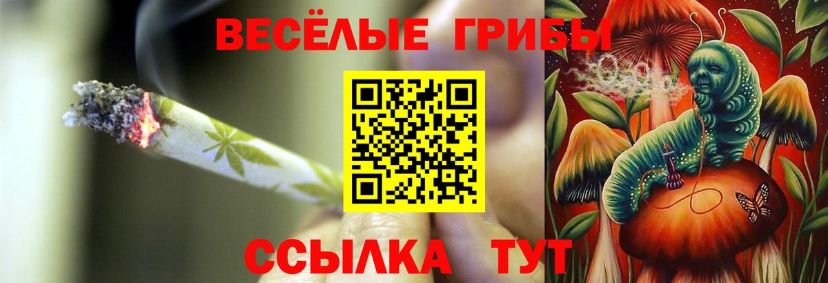 Галлюциногенные грибы MAGIC MUSHROOMS Рубцовск